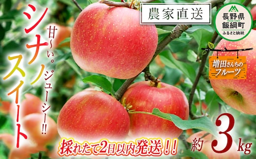 りんご シナノスイート 家庭用 3kg 採れたてを発送 増田ファーム 沖縄県への配送不可 2026年10月上旬頃から2026年10月中旬頃まで順次発送予定 令和8年度収穫分 信州 果物 フルーツ リンゴ 林檎 長野 予約 農家直送 長野県 飯綱町 [0819]