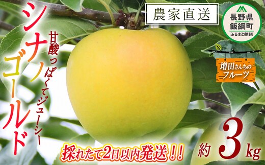 【 採れたて発送 】 りんご シナノゴールド 家庭用 3kg 採れたてを発送 増田ファーム 沖縄県への配送不可 2026年11月上旬頃から2026年12月下旬頃まで順次発送予定 令和8年度収穫分 信州 果物 フルーツ リンゴ 林檎 長野 予約 農家直送 長野県 飯綱町 [0596]
