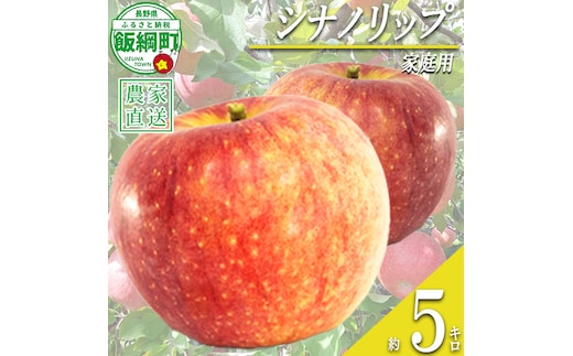 りんご 暑さに負けない シナノリップ 家庭用 5kg 大友農場 エコファーマー認定 沖縄県への配送不可 2026年8月中旬頃から2026年9月上旬頃まで順次発送予定 令和8年度収穫分 信州 果物 フルーツ リンゴ 林檎 長野 予約 農家直送 長野県 飯綱町 [1024]