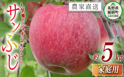 お家で食べるりんご サンふじ 家庭用 5kg 大友農場 エコファーマー認定 沖縄県への配送不可 2025年12月中旬頃から2026年1月下旬頃まで順次発送予定 令和7年度収穫分 信州 果物 フルーツ リンゴ 林檎 長野 予約 農家直送 長野県 飯綱町 [0835]