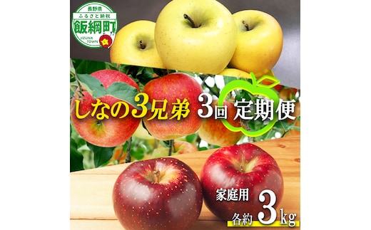 旬のりんご しなの3兄弟 【 定期便 】 家庭用 3kg × 3回 大友農場 エコファーマー認定 沖縄県への配送不可 2026年10月上旬頃から2027年1月中旬頃まで順次発送予定 令和8年度収穫分 信州 果物 フルーツ リンゴ 林檎 長野 予約 農家直送 長野県 飯綱町 [1389]