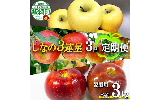 旬のりんご シナノ 3連星 【 定期便 】 家庭用 3kg × 3回 大友農場 エコファーマー認定 沖縄県への配送不可 2026年8月下旬頃から2027年1月中旬頃まで順次発送予定 令和8年度収穫分 信州 果物 フルーツ リンゴ 林檎 長野 予約 農家直送 長野県 飯綱町 [1388]