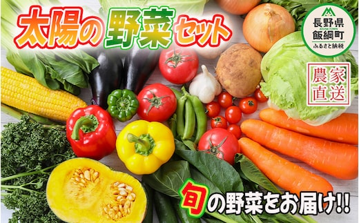 【 冷蔵便 】 野菜 太陽の野菜セット 【 季節ごと旬の野菜 】 配送先は本州限定 クール便 2026年7月中旬頃から2026年11月上旬頃まで順次発送予定 ビオ農産物 太陽の恵み ( 化学肥料 除草剤 不使用 ) 長野県 飯綱町 [0009]