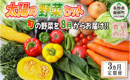 野菜 太陽の野菜セット 【 8月から 3か月 定期便 】 季節ごと旬の野菜 配送先は本州限定 2026年8月中旬頃から2026年10月下旬頃まで順次発送予定 ビオ農産物 太陽の恵み ( 化学肥料 除草剤 不使用 ) 長野県 飯綱町 [1041]