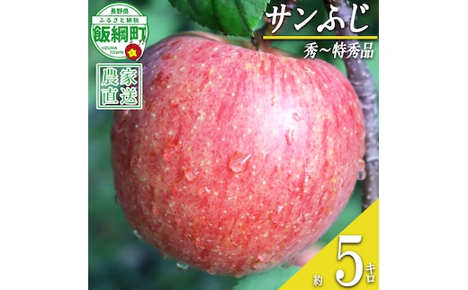 りんご サンふじ 秀 ～ 特秀 5kg 寺島農園 沖縄県への配送不可 2026年11月下旬頃から2027年2月上旬頃まで順次発送予定 令和8年度収穫分 信州 果物 フルーツ リンゴ 林檎 長野 予約 農家直送 長野県 飯綱町 [0313]