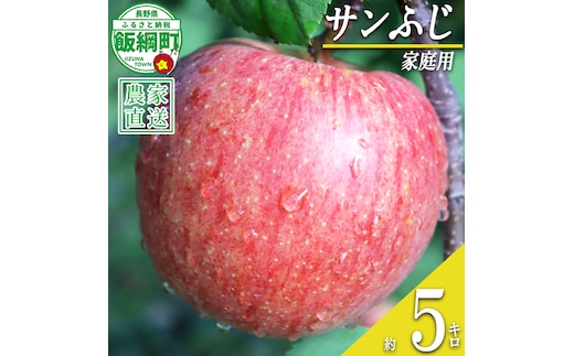 りんご サンふじ 家庭用 5kg 寺島農園 沖縄県への配送不可 2026年11月下旬頃から2027年2月上旬頃まで順次発送予定 令和8年度収穫分 信州 果物 フルーツ リンゴ 林檎 長野 予約 農家直送 長野県 飯綱町 [0770]