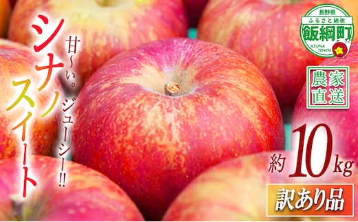 りんご シナノスイート 訳あり 10kg マルカズりんご農園 2026年10月上旬頃から2026年10月下旬頃まで順次発送予定 令和8年度収穫分 傷 不揃い リンゴ 林檎 果物 フルーツ 信州 長野 予約 農家直送 長野県 飯綱町 [1391]