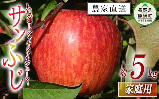 りんご サンふじ 家庭用 5kg マルカズりんご農園 沖縄県への配送不可 2026年11月下旬頃から2026年12月下旬頃まで順次発送予定 令和8年度収穫分 信州 果物 フルーツ リンゴ 林檎 長野 予約 農家直送 長野県 飯綱町 [0951]