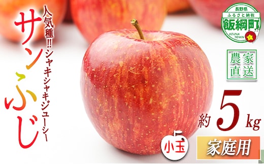 りんご サンふじ 家庭用 ( 小玉 ) 5kg マルカズりんご農園 沖縄県への配送不可 2026年11月下旬頃から2027年2月上旬頃まで順次発送予定 令和8年度収穫分 信州 果物 フルーツ リンゴ 林檎 長野 予約 農家直送 長野県 飯綱町 [0952]