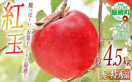 りんご 紅玉 秀 ～ 特秀 4.5kg （～23玉） ヒライ農園 沖縄県への配送不可 2026年10月上旬頃から2026年10月中旬頃まで順次発送予定 令和8年度収穫分 信州の環境にやさしい農産物認証 減農薬栽培 長野県 飯綱町 [0362]