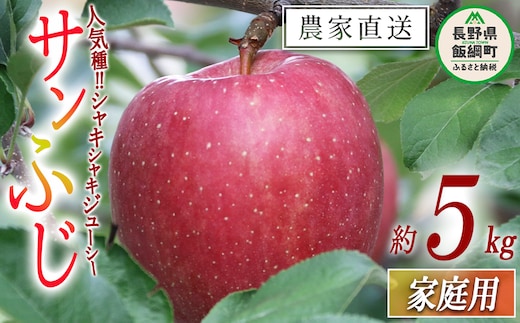 りんご サンふじ 家庭用 5kg ヒライ農園 沖縄県への配送不可 2025年12月上旬頃から2025年12月下旬頃まで順次発送予定 令和7年度収穫分 信州の環境にやさしい農産物認証 減農薬栽培 長野県 飯綱町 [0986]