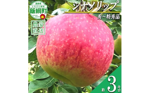 りんご シナノリップ 秀 ～ 特秀 3kg サイズおまかせ 井澤農園 沖縄県への配送不可 2026年8月中旬頃から2026年9月中旬頃まで順次発送予定 令和8年度収穫分 エコファーマー認定 減農薬栽培 化学肥料不使用 信州 果物 フルーツ リンゴ 林檎 長野 予約 農家直送 長野県 飯綱町 [0873]