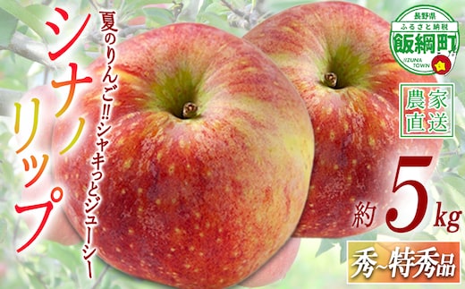 りんご シナノリップ 秀 ～ 特秀 5kg 渡辺農園 沖縄県への配送不可 2026年8月中旬頃から2026年8月下旬頃まで順次発送予定 令和8年度収穫分 エコファーマー認定 減農薬栽培 長野県 飯綱町 [1019]