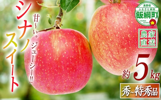 りんご シナノスイート 秀 ～ 特秀 5kg 渡辺農園 沖縄県への配送不可 2026年10月中旬頃から2026年10月下旬頃まで順次発送予定 令和8年度収穫分 エコファーマー認定 減農薬栽培 長野県 飯綱町 [0171]