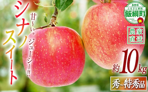 りんご シナノスイート 秀 ～ 特秀 10kg 渡辺農園 2026年10月中旬頃から2026年10月下旬頃まで順次発送予定 令和8年度収穫分 エコファーマー認定 減農薬栽培 長野県 飯綱町 [0172]