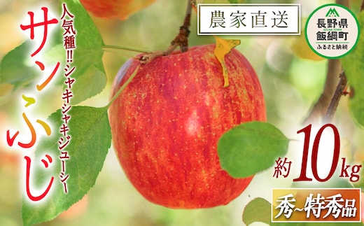 りんご サンふじ 秀 ～ 特秀 10kg 渡辺農園 2025年12月上旬頃から2026年1月中旬頃まで順次発送予定 令和7年度収穫分 エコファーマー認定 減農薬栽培 長野県 飯綱町 [0170]