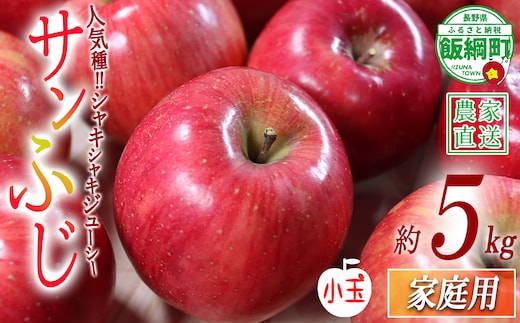 りんご サンふじ 家庭用 ( 小玉 ) 5kg 渡辺農園 沖縄県への配送不可 2026年12月中旬頃から2027年1月中旬頃まで順次発送予定 令和8年度収穫分 エコファーマー認定 減農薬栽培 長野県 飯綱町 [0803]
