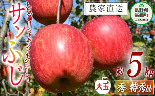 りんご サンふじ 秀 ～ 特秀 ( 大玉 ) 5kg 渡辺農園 沖縄県への配送不可 2025年12月上旬頃から2026年1月中旬頃まで順次発送予定 令和7年度収穫分 エコファーマー認定 減農薬栽培 長野県 飯綱町 [0804]