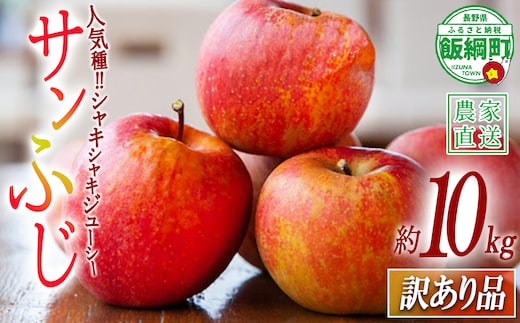 りんご サンふじ 訳あり 10kg 渡辺農園 2026年12月上旬頃から2027年1月中旬頃まで順次発送予定 令和8年度収穫分 エコファーマー認定 減農薬栽培 長野県 飯綱町 [1251]