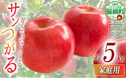 りんご サンつがる 家庭用 5kg 関農園 沖縄県への配送不可 2026年8月下旬頃から2026年9月上旬頃まで順次発送予定 エコファーマー認定 令和8年度収穫分 信州 果物 フルーツ リンゴ 林檎 長野 予約 農家直送 長野県 飯綱町 [1087]