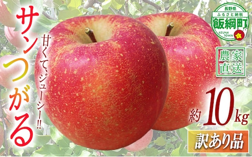 りんご サンつがる 訳あり 10kg 関農園 沖縄県への配送不可 2026年8月下旬頃から2026年9月上旬頃まで順次発送予定 エコファーマー認定 令和8年度収穫分 傷 不揃い リンゴ 林檎 果物 フルーツ 信州 長野 予約 農家直送 長野県 飯綱町 [1088]
