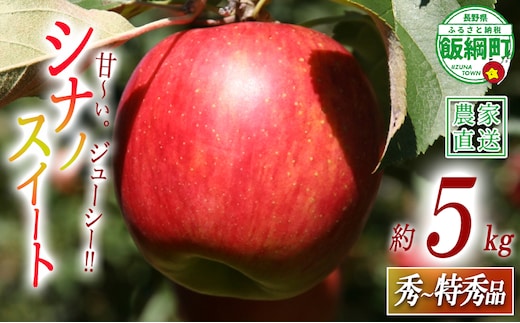 りんご シナノスイート 秀 〜 特秀 5kg 関農園 沖縄県への配送不可 2026年10月上旬頃から2026年10月下旬頃まで順次発送予定 エコファーマー認定 令和8年度収穫分 信州 果物 フルーツ リンゴ 林檎 長野 予約 農家直送 長野県 飯綱町 [1089]