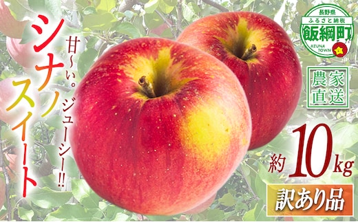 りんご シナノスイート 訳あり 10kg 関農園 2026年10月上旬頃から2026年10月下旬頃まで順次発送予定 エコファーマー認定 令和8年度収穫分 傷 不揃い リンゴ 林檎 果物 フルーツ 信州 長野 予約 農家直送 長野県 飯綱町 [1091]