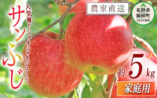 りんご サンふじ 家庭用 5kg 関農園 沖縄県への配送不可 2025年12月上旬頃から2025年12月下旬頃まで順次発送予定 エコファーマー認定 令和7年度収穫分 信州 果物 フルーツ リンゴ 林檎 長野 13000円 予約 農家直送 長野県 飯綱町 [1093]