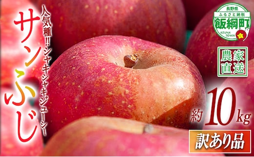 りんご サンふじ 訳あり 10kg 関農園 2026年12月上旬頃から2026年12月下旬頃まで順次発送予定 エコファーマー認定 令和8年度収穫分 傷 不揃い リンゴ 林檎 果物 フルーツ 信州 長野 予約 農家直送 長野県 飯綱町 [1094]