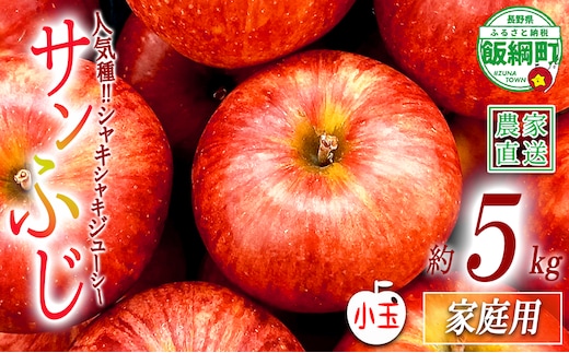 りんご サンふじ 家庭用 ( 小玉 ) 5kg 関農園 沖縄県への配送不可 2026年12月上旬頃から2026年12月下旬頃まで順次発送予定 エコファーマー認定 令和8年度収穫分 信州 果物 フルーツ リンゴ 林檎 長野 予約 農家直送 長野県 飯綱町 [1328]