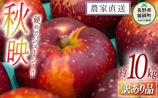 りんご 秋映 訳あり 10kg 松橋りんご園 2026年10月上旬頃から2026年10月中旬頃まで順次発送予定 令和8年度収穫分 フルーツ リンゴ 信州 長野県 飯綱町 [0549]