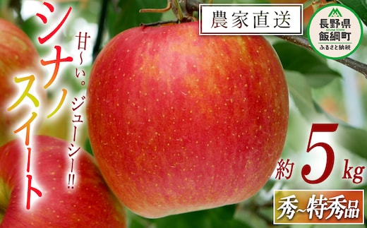 りんご シナノスイート 秀 ～ 特秀 5kg 松橋りんご園 沖縄県への配送不可 2026年10月上旬頃から2026年11月上旬頃まで順次発送予定 令和8年度収穫分 フルーツ リンゴ 信州 長野県 飯綱町 [0129]
