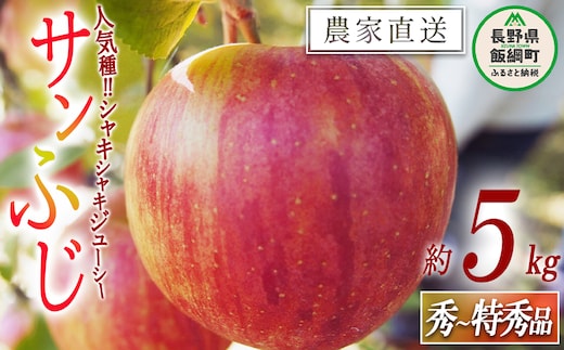 りんご サンふじ 秀 ～ 特秀 5kg 松橋りんご園 沖縄県への配送不可 2026年12月上旬頃から2027年1月下旬頃まで順次発送予定 令和8年度収穫分 フルーツ リンゴ 信州 長野県 飯綱町 [0130]