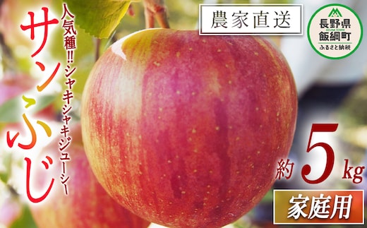 りんご サンふじ 家庭用 5kg 松橋りんご園 沖縄県への配送不可 2026年12月上旬頃から2027年3月上旬頃まで順次発送予定 令和8年度収穫分 フルーツ リンゴ 信州 長野県 飯綱町 [0829]