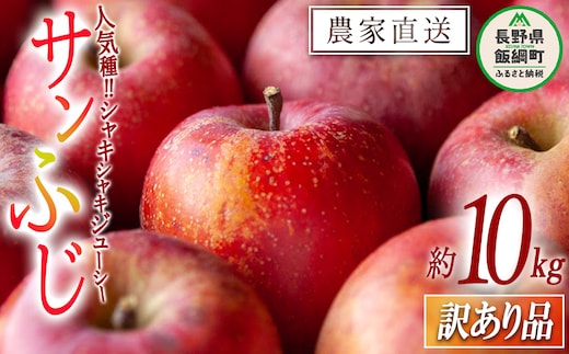 りんご サンふじ 訳あり 10kg 松橋りんご園 2026年12月中旬頃から2027年3月上旬頃まで順次発送予定 令和8年度収穫分 フルーツ リンゴ 信州 長野県 飯綱町 [0552]