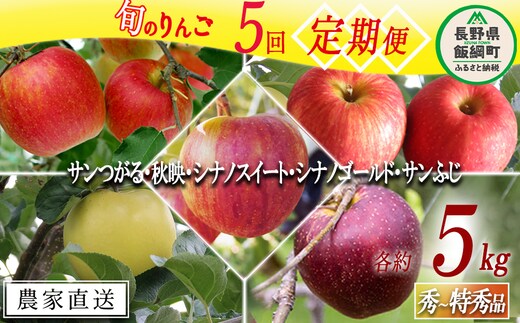 旬のりんご 【 定期便 】 秀 〜 特選 4.5kg 〜 5kg × 5回 松橋りんご園 沖縄県への配送不可 2026年9月上旬頃から2026年12月下旬頃まで順次発送予定 令和8年度収穫分 フルーツ リンゴ 信州 長野県 飯綱町 [0830]