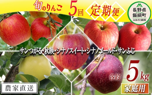 旬のりんご 【 定期便 】 家庭用 4.5kg 〜 5kg × 5回 松橋りんご園 沖縄県への配送不可 2026年9月上旬頃から2026年12月下旬頃まで順次発送予定 令和8年度収穫分 フルーツ リンゴ 信州 長野県 飯綱町 [0831]