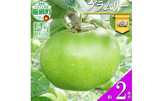 りんご ブラムリー 特選 2kg やまじゅうファーム 沖縄県への配送不可 2026年8月中旬頃から2026年9月上旬頃まで順次発送予定 信州の環境にやさしい農産物 減農薬栽培 令和8年度収穫分 長野県 飯綱町 [0852]