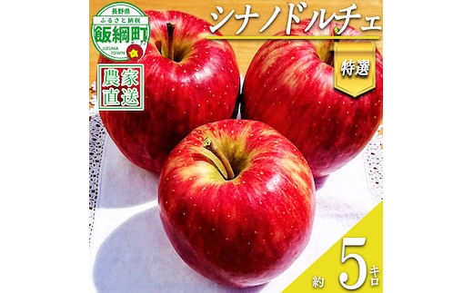 りんご シナノドルチェ 特選 5kg やまじゅうファーム 沖縄県への配送不可 2026年9月中旬頃から2026年10月上旬頃まで順次発送予定 令和8年度収穫分 信州の環境にやさしい農産物 減農薬栽培 長野県 飯綱町 [0514]