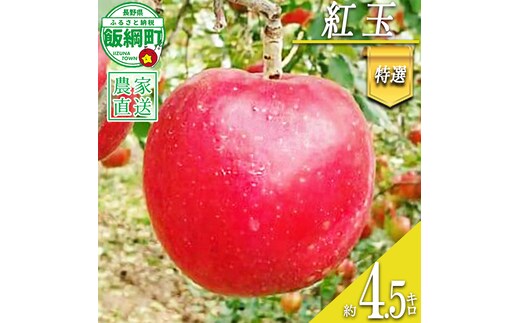 りんご 紅玉 特選 4.5kg やまじゅうファーム 沖縄県への配送不可 2026年10月上旬頃から2026年10月中旬頃まで順次発送予定 令和8年度収穫分 信州の環境にやさしい農産物 減農薬栽培 長野県 飯綱町 [0516]