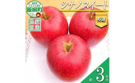 りんご シナノスイート 特選 3kg やまじゅうファーム 沖縄県への配送不可 2026年10月中旬頃から2026年10月下旬頃まで順次発送予定 令和8年度収穫分 信州の環境にやさしい農産物 減農薬栽培 長野県 飯綱町 [0521]