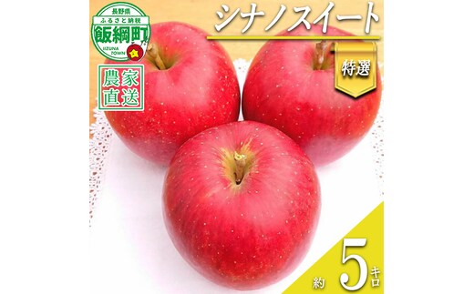 りんご シナノスイート 特選 5kg やまじゅうファーム 沖縄県への配送不可 2026年10月中旬頃から2026年10月下旬頃まで順次発送予定 令和8年度収穫分 信州の環境にやさしい農産物 減農薬栽培 長野県 飯綱町 [0522]