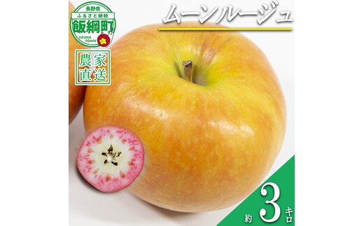 りんご ムーンルージュ 3kg やまじゅうファーム 沖縄県への配送不可 2026年10月下旬頃から2026年11月上旬頃まで順次発送予定 令和8年度収穫分 信州の環境にやさしい農産物 減農薬栽培 長野県 飯綱町 [1026]