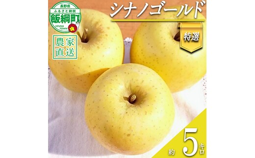 りんご シナノゴールド 特選 5kg やまじゅうファーム 沖縄県への配送不可 2026年11月上旬頃から2026年11月下旬頃まで順次発送予定 令和8年度収穫分 信州の環境にやさしい農産物 減農薬栽培 長野県 飯綱町 [0855]