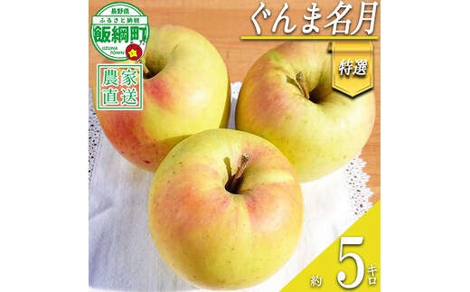 りんご ぐんま名月 特選 5kg やまじゅうファーム 沖縄県への配送不可 2026年11月下旬頃から2026年12月上旬頃まで順次発送予定 令和8年度収穫分 信州の環境にやさしい農産物 減農薬栽培 長野県 飯綱町 [0528]