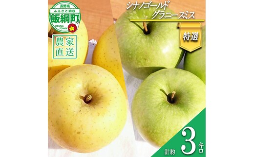 りんご シナノゴールド ＆ グラニースミス 特選 3kg 詰め合わせ セット やまじゅうファーム 沖縄県への配送不可 2026年11月下旬頃から2026年12月上旬頃まで順次発送予定 令和8年度収穫分 信州の環境にやさしい農産物 減農薬栽培 長野県 飯綱町 [1029]