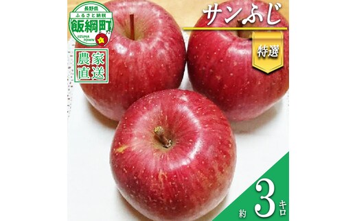 りんご サンふじ 特選 3kg やまじゅうファーム 沖縄県への配送不可 2026年12月中旬頃から2026年12月下旬頃まで順次発送予定 令和8年度収穫分 信州の環境にやさしい農産物 減農薬栽培 長野県 飯綱町 [0533]