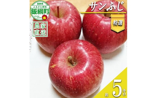 りんご サンふじ 特選 5kg やまじゅうファーム 沖縄県への配送不可 2026年12月中旬頃から2026年12月下旬頃まで順次発送予定 令和8年度収穫分 信州の環境にやさしい農産物 減農薬栽培 長野県 飯綱町 [0534]