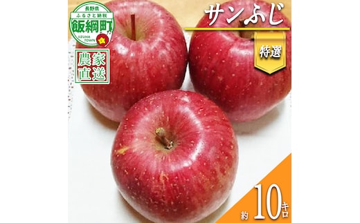 りんご サンふじ 特選 10kg やまじゅうファーム 2026年12月中旬頃から2026年12月下旬頃まで順次発送予定 令和8年度収穫分 信州の環境にやさしい農産物 減農薬栽培 長野県 飯綱町 [0535]