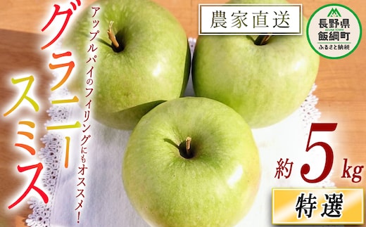 りんご グラニースミス 特選 5kg やまじゅうファーム 沖縄県への配送不可 2025年12月中旬頃から2026年1月下旬頃まで順次発送予定 令和7年度収穫分 信州の環境にやさしい農産物 減農薬栽培 長野県 飯綱町 [0531]
